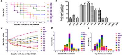 Severe Pneumonia Caused by Coinfection With Influenza Virus Followed by Methicillin-Resistant Staphylococcus aureus Induces Higher Mortality in Mice